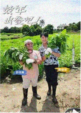 周末厨房大作战 韩国综艺
